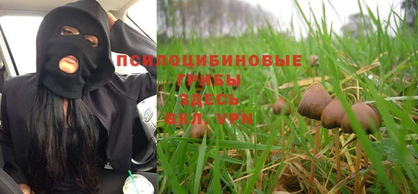 герыч Арсеньев