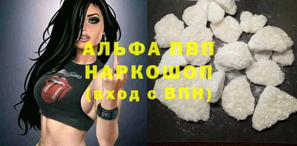 СК Аркадак