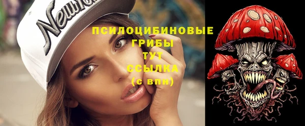 герыч Арсеньев